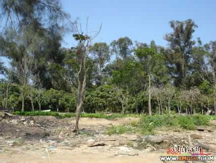 [����]С��"��ְ"ƪ