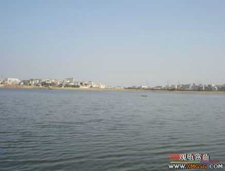 [����]С��"��ְ"ƪ