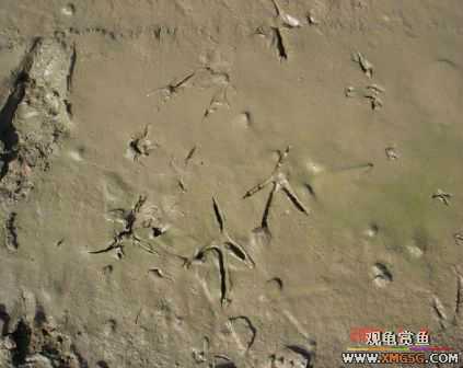 [����]С��"��ְ"ƪ