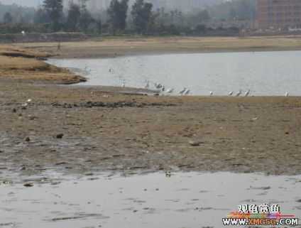 [����]С��"��ְ"ƪ