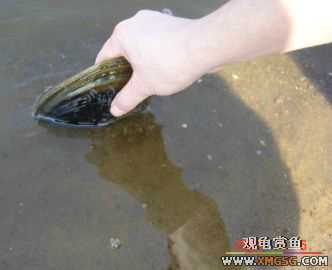 [����]С��"��ְ"ƪ