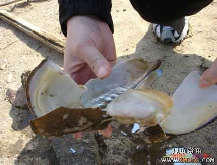 [����]С��"��ְ"ƪ