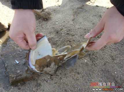 [����]С��"��ְ"ƪ