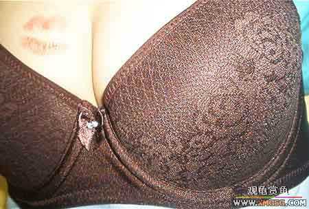 �Ը��ǣ������������ĳ����Ρ�����������