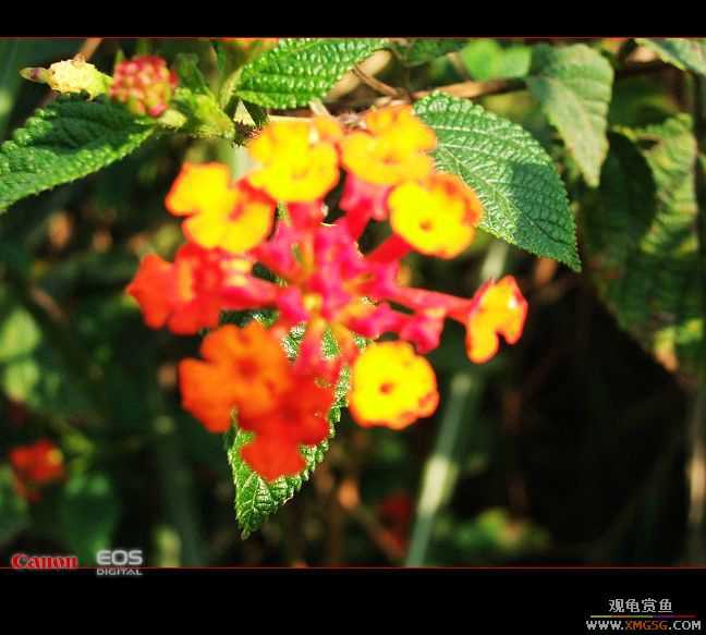 07.01.07����[���ʰ�]