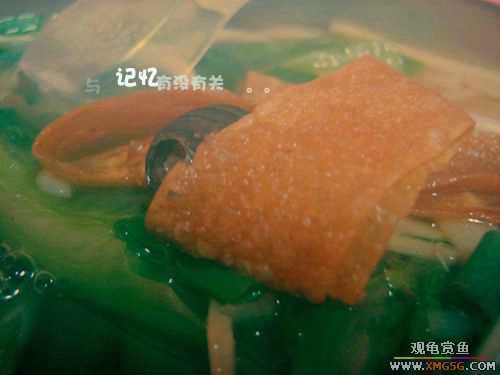 [ԭ��]��¼2006,ʥ��