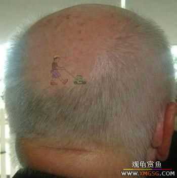 �ҾͲ���Ц��s��