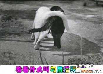 �ҾͲ���Ц��s��