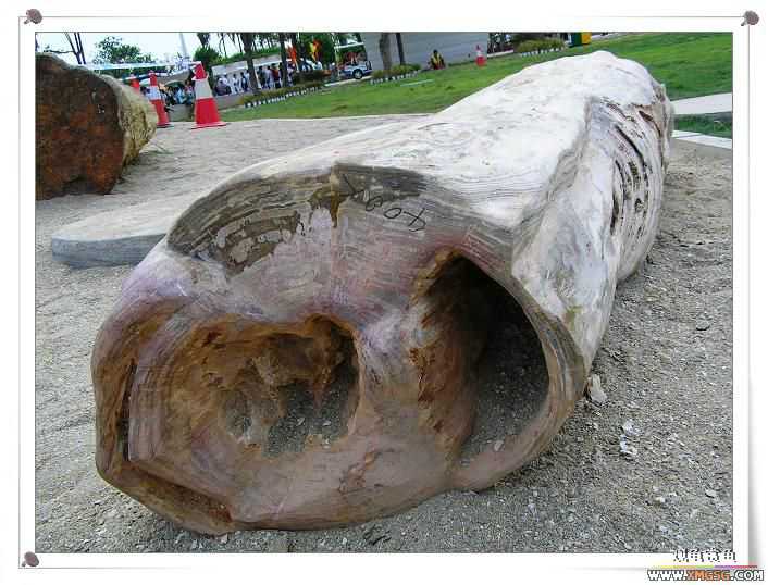 2007����԰��԰