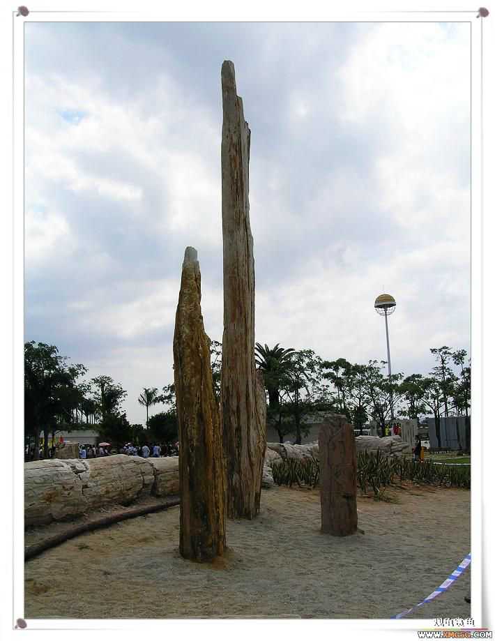 2007����԰��԰