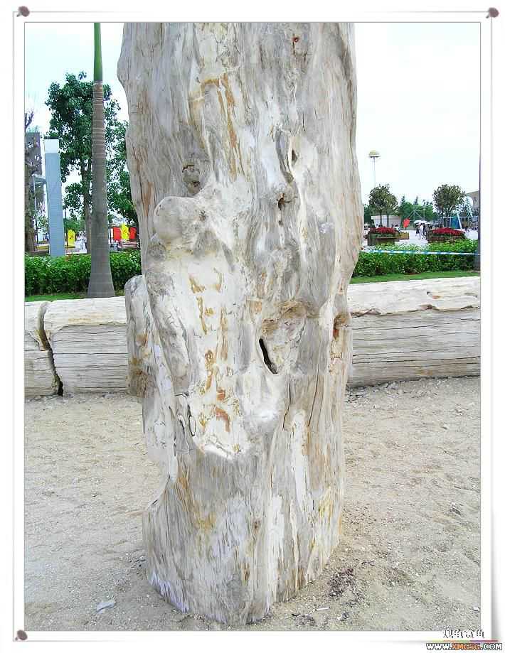 2007����԰��԰