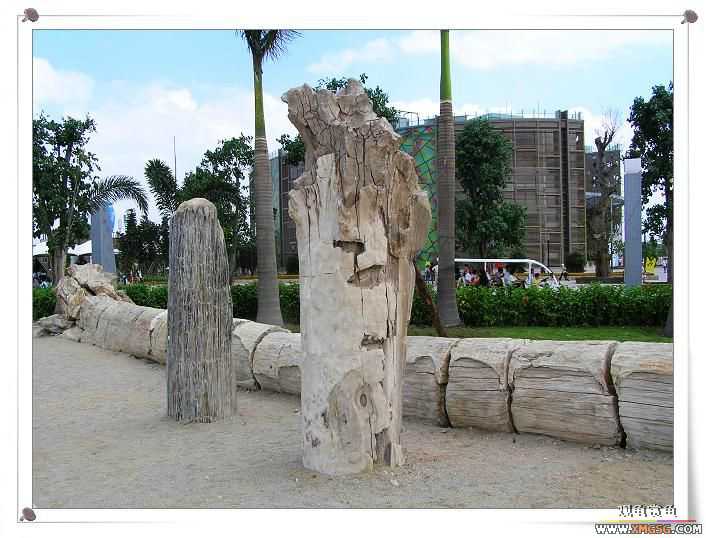 2007����԰��԰