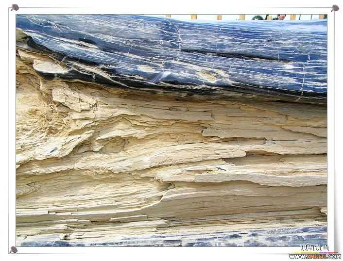 2007����԰��԰