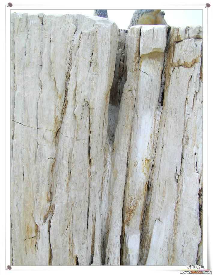 2007����԰��԰