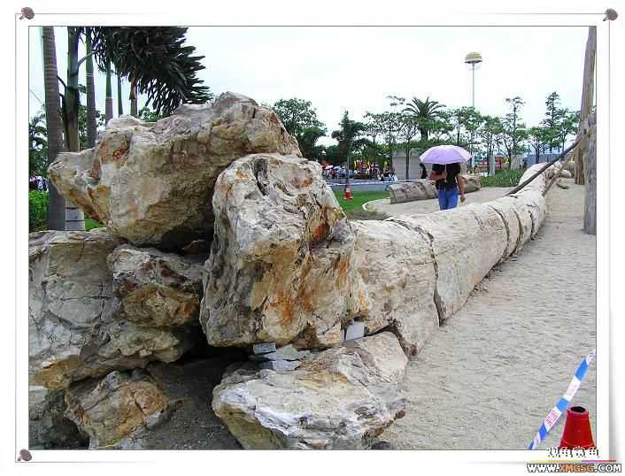 2007����԰��԰