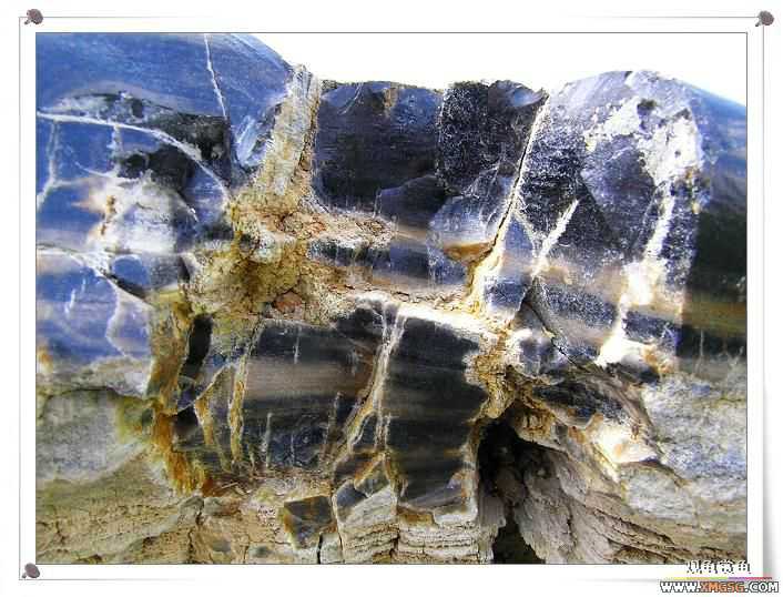 2007����԰��԰