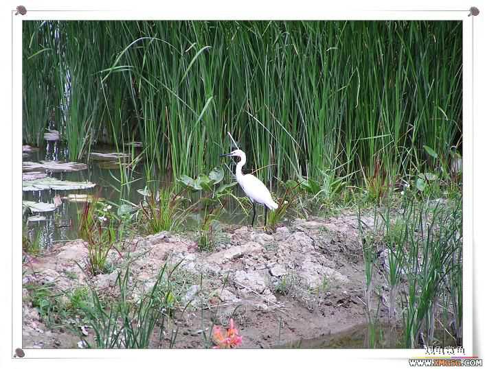 2007����԰��԰