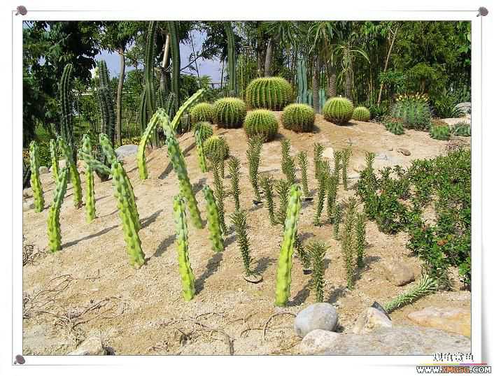 2007����԰��԰