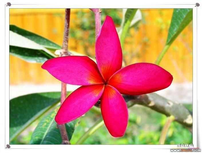 2007����԰��԰