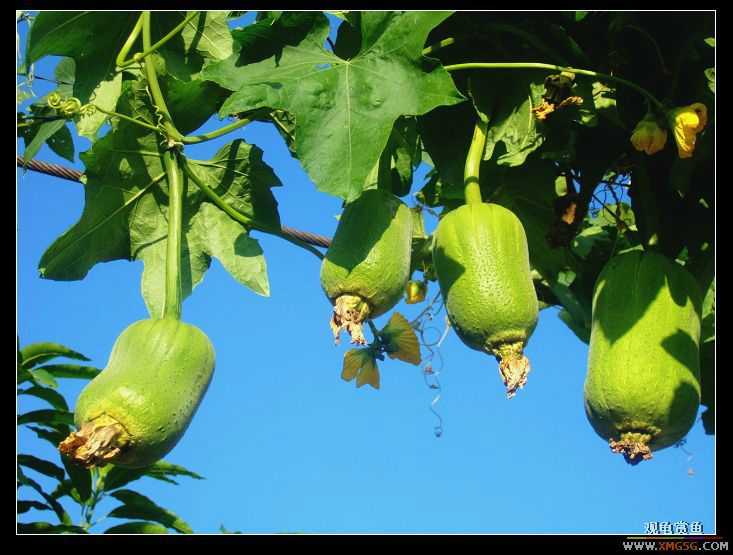 [����]����ʱ�����㹲��