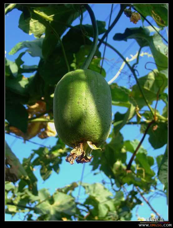 [����]����ʱ�����㹲��