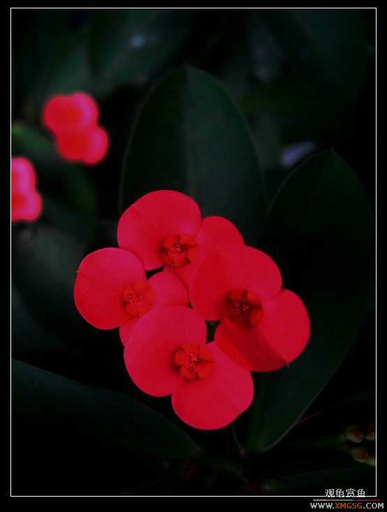 [����]����ʱ�����㹲��