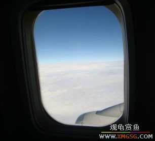 ���������������Ͽյ��ơ�