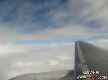 ���������������Ͽյ��ơ�