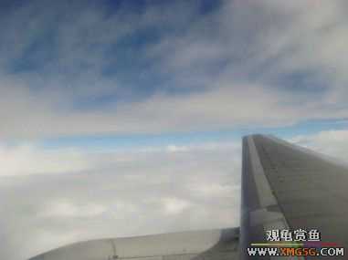 ���������������Ͽյ��ơ�