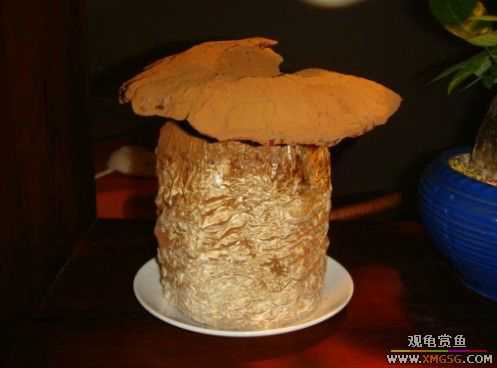 ����˽���ˣ���ͼ���۸񣩣ޣ���