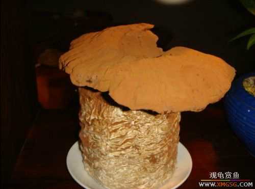 ����˽���ˣ���ͼ���۸񣩣ޣ���