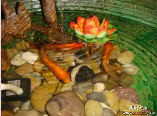 ����˽���ˣ���ͼ���۸񣩣ޣ���