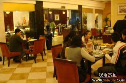 �Ⱥ�������͡����һ��Ʒ����������ٴ�Ƶ꣩����������