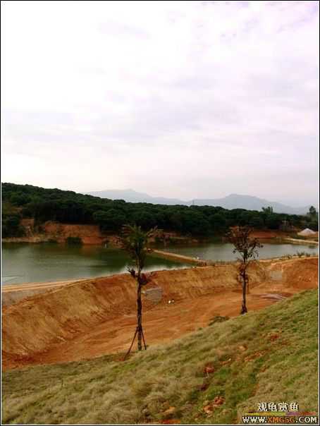 ȥ����˳˳�泡�ι�