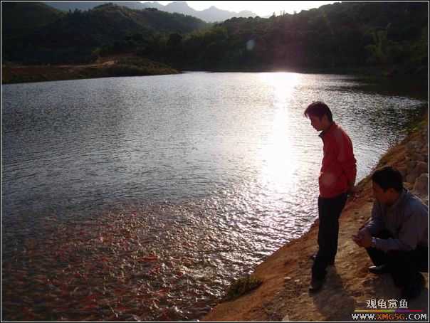 ȥ����˳˳�泡�ι�