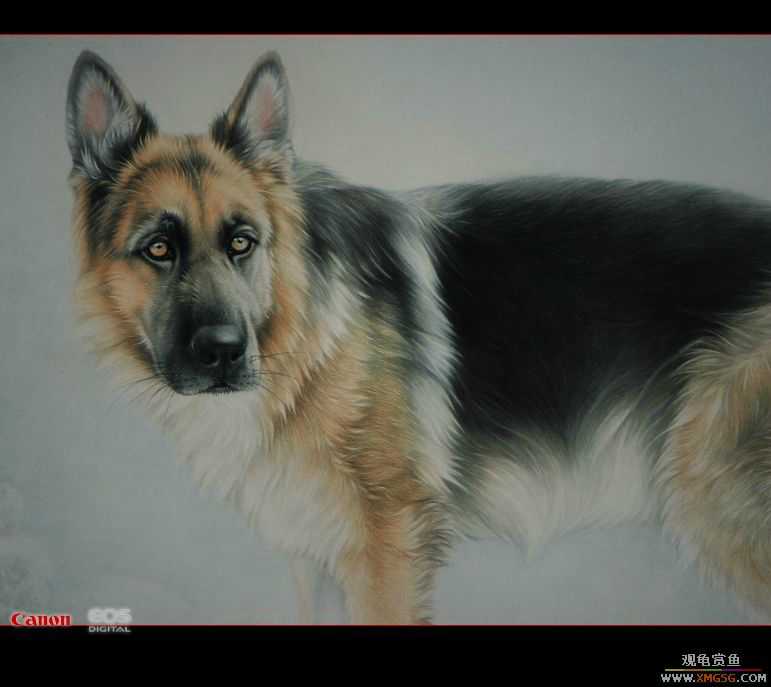 [ע��]�ǵĸ�������д�漯�����ҷ�����