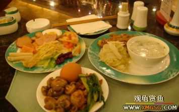 �Ⱥ�������͡����һ��Ʒ����������ٴ�Ƶ꣩����������