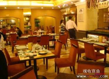 �Ⱥ�������͡����һ��Ʒ����������ٴ�Ƶ꣩����������