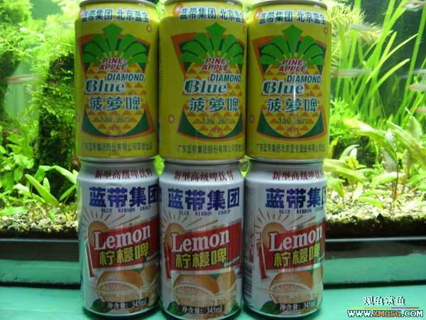 �տ����������ѵ�λ