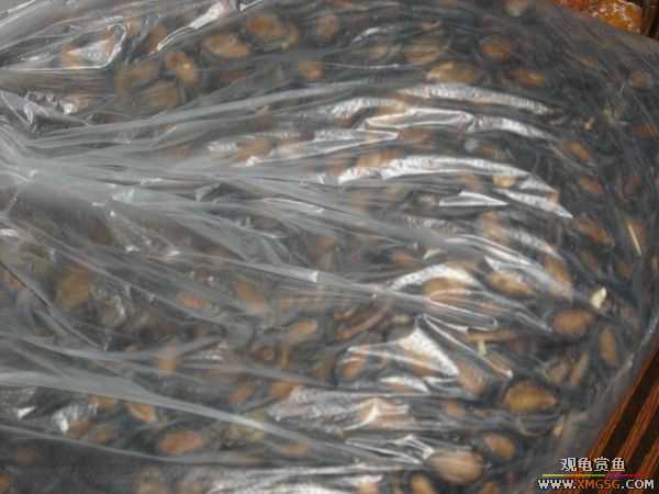 �տ����������ѵ�λ