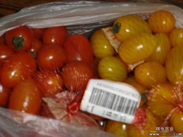 �տ����������ѵ�λ