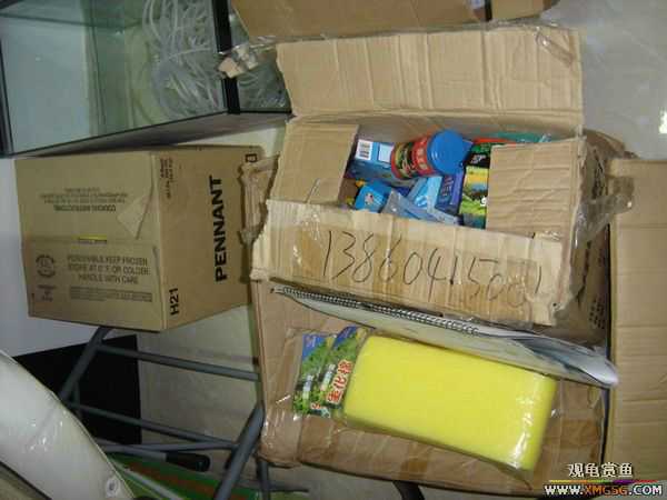 �տ����������ѵ�λ