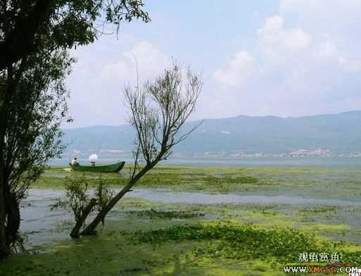 ����ȥ�ĳ���