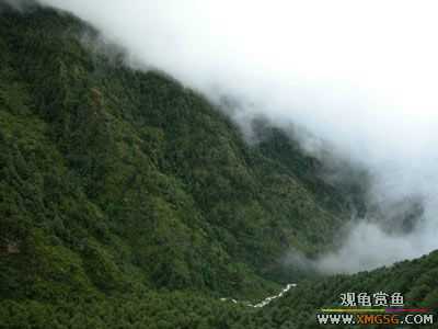 ����ȥ�ĳ���