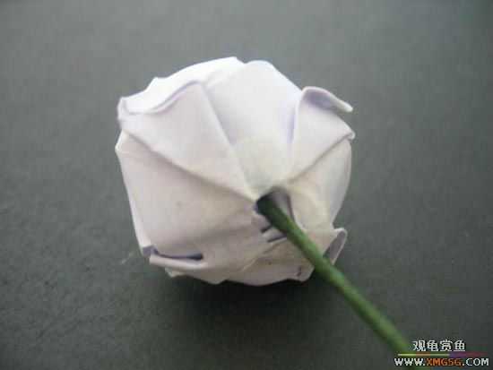 [ת��]Խ����õ�廨�������������Լ�����Ӯȡ���ģ�������