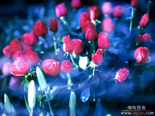 �������˽ڡ�