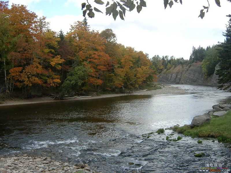 ������ѧ����������