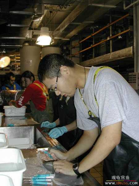 ������ѧ����������