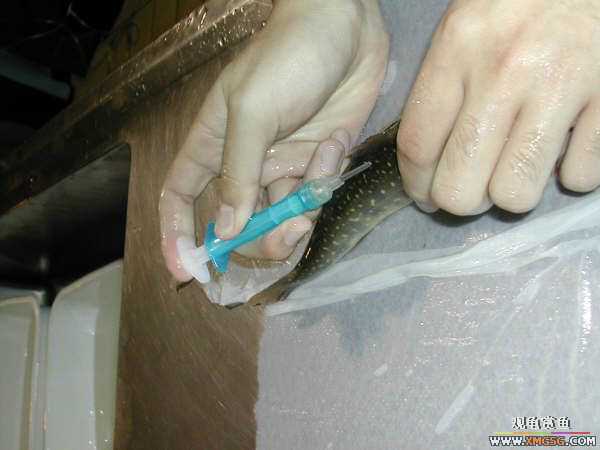 ������ѧ����������