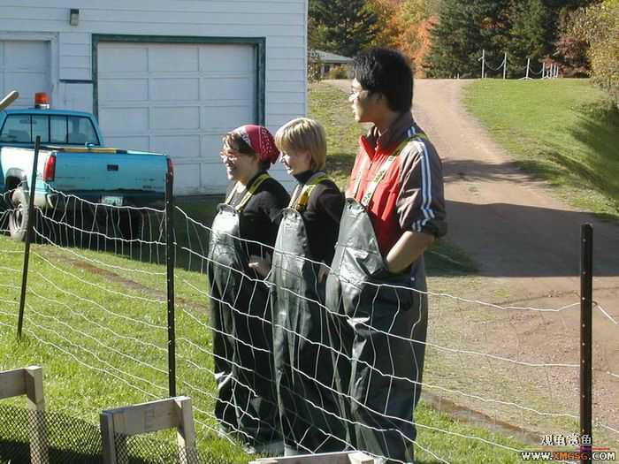 ������ѧ����������